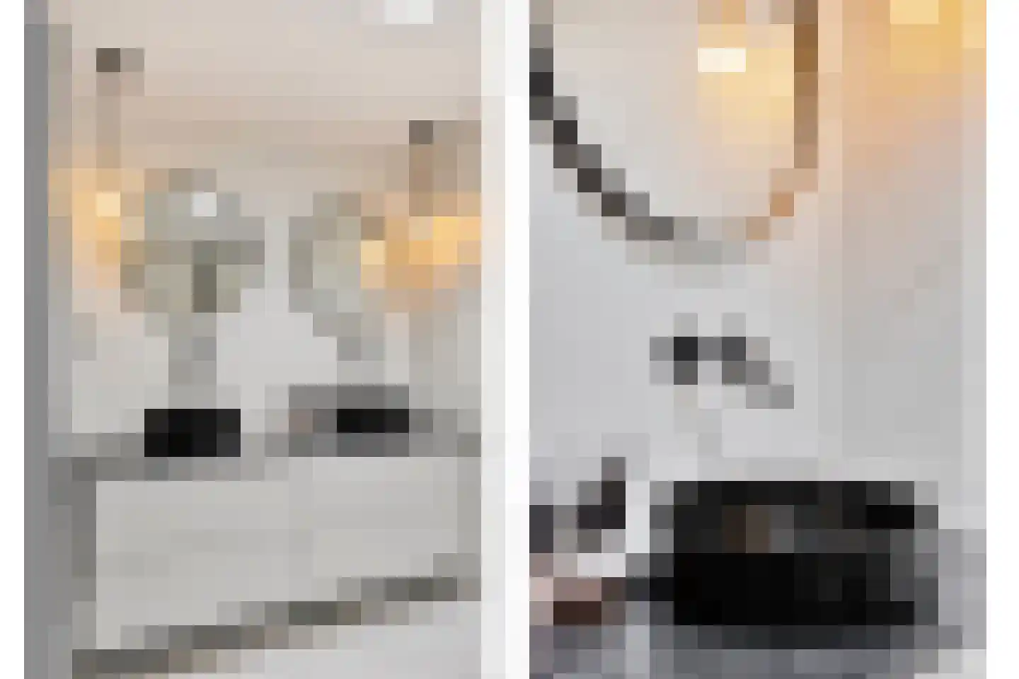 Noordeinde 1 Lambertschaag thumbnail 27