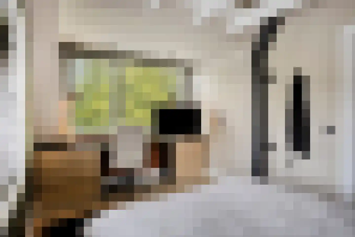 Noordeinde 1 Lambertschaag thumbnail 30