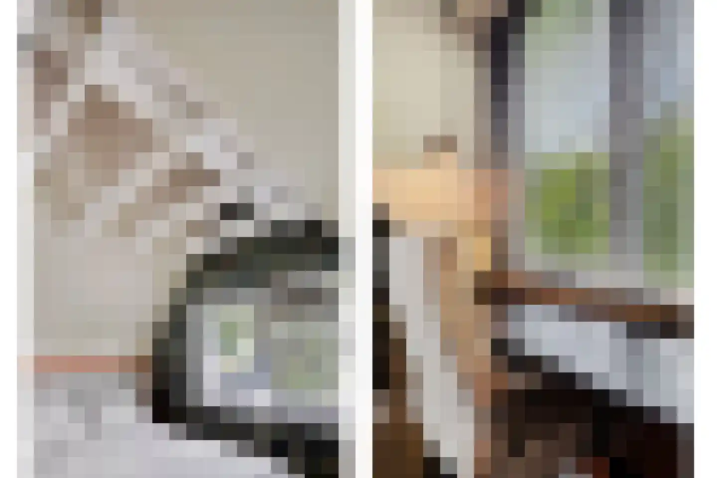 Noordeinde 1 Lambertschaag thumbnail 31