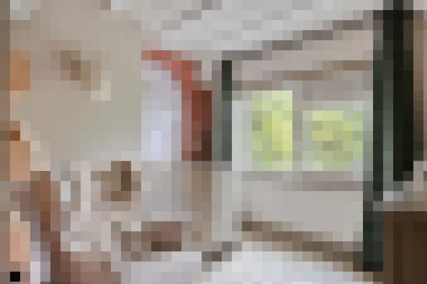 Noordeinde 1 Lambertschaag thumbnail 32