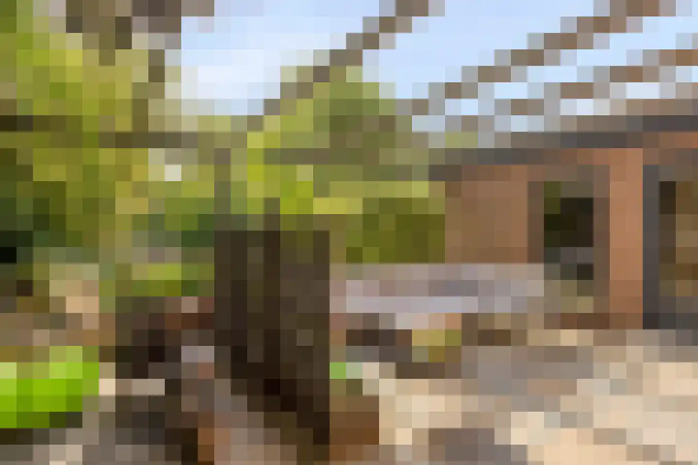 Noordeinde 1 Lambertschaag thumbnail 37