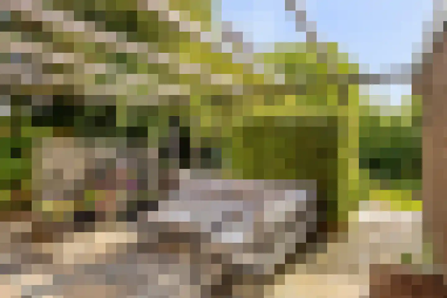 Noordeinde 1 Lambertschaag thumbnail 38