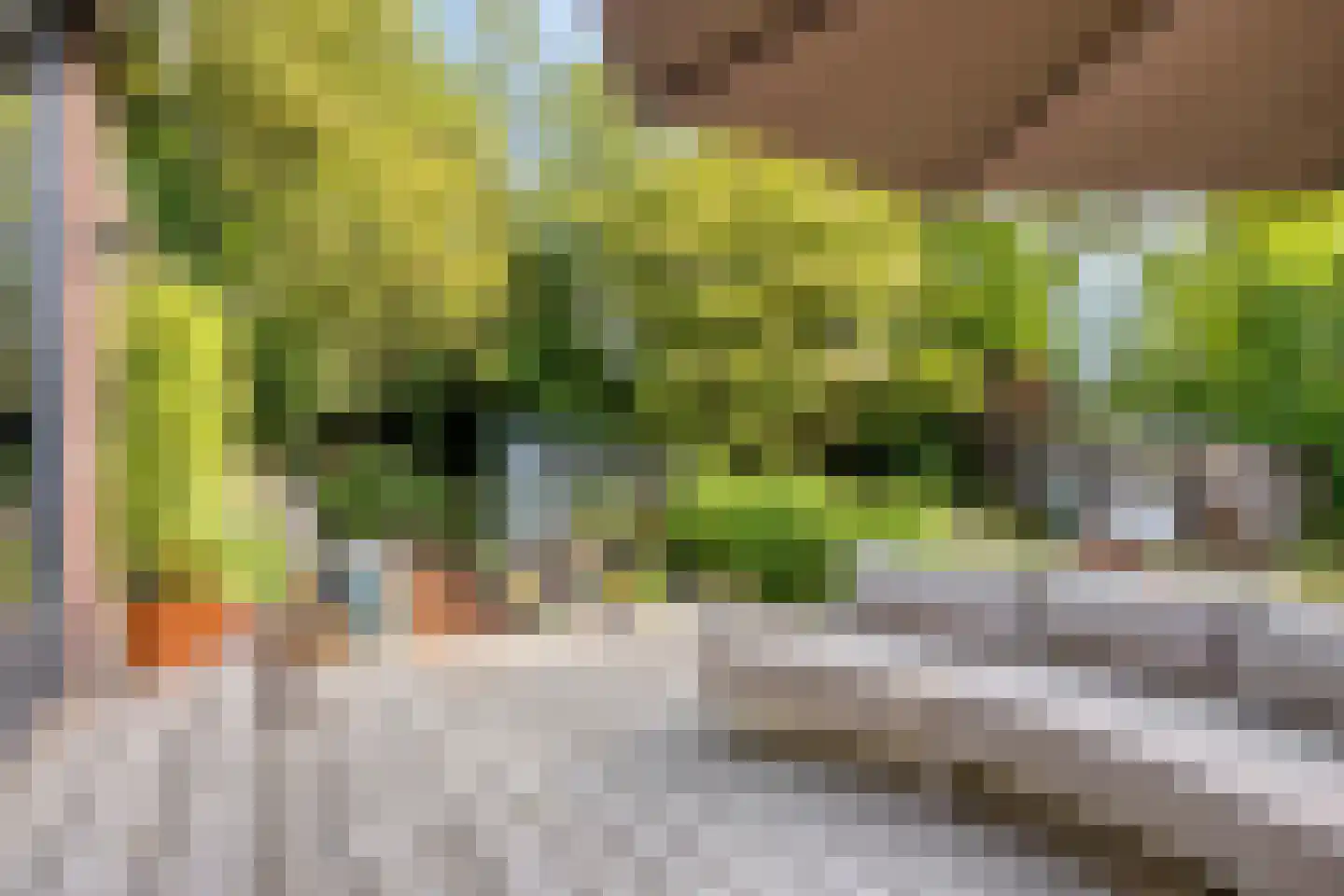 Noordeinde 1 Lambertschaag thumbnail 41
