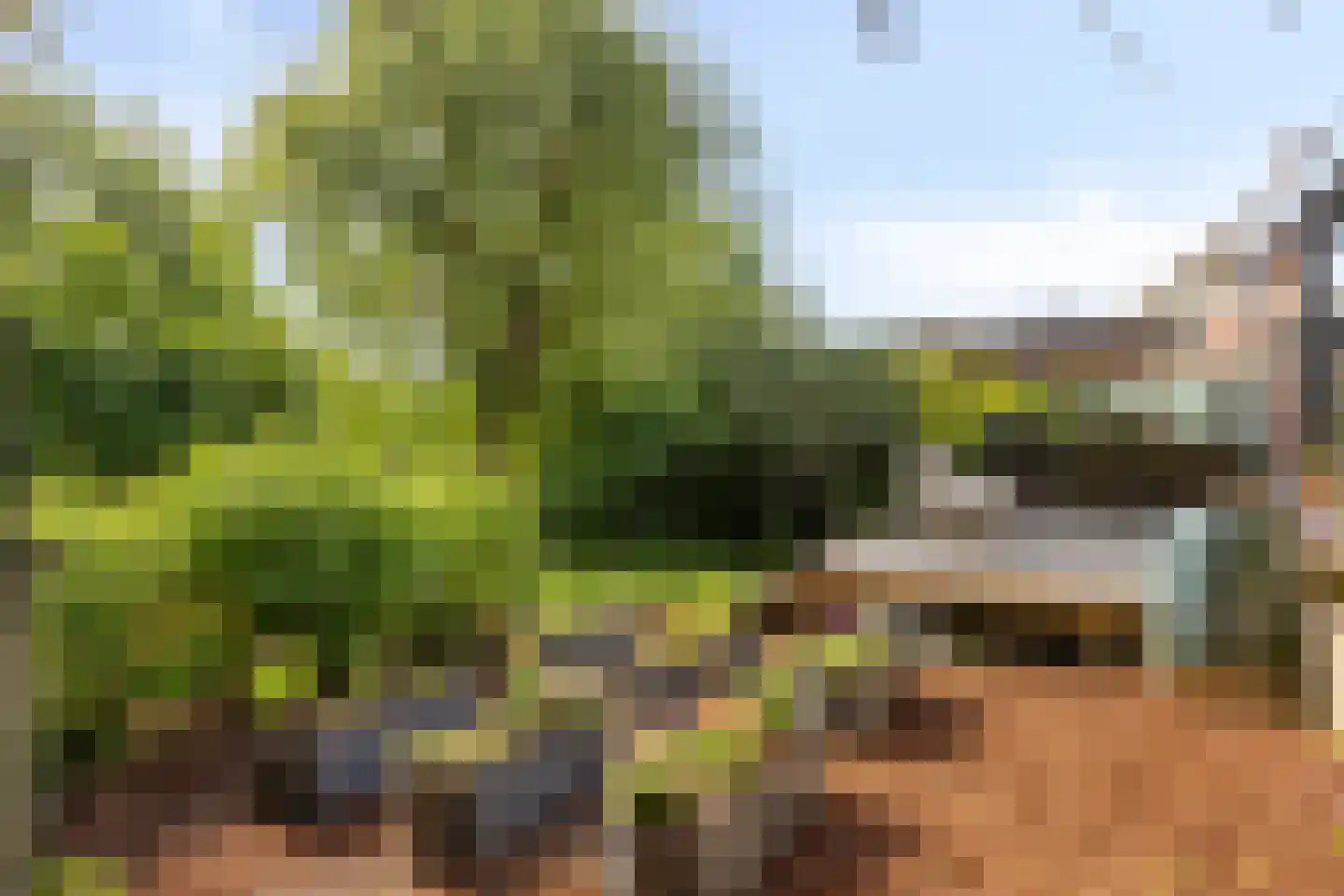 Noordeinde 1 Lambertschaag thumbnail 42