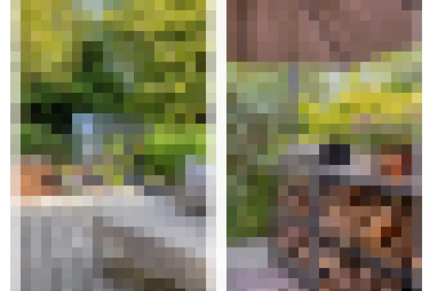 Noordeinde 1 Lambertschaag thumbnail 43