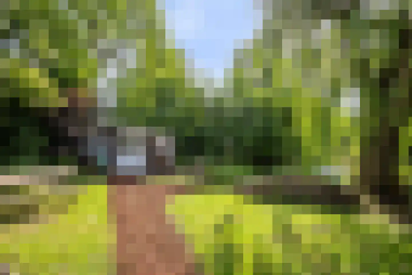Noordeinde 1 Lambertschaag thumbnail 45