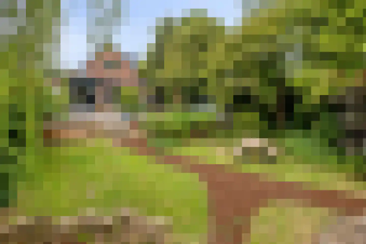 Noordeinde 1 Lambertschaag thumbnail 46