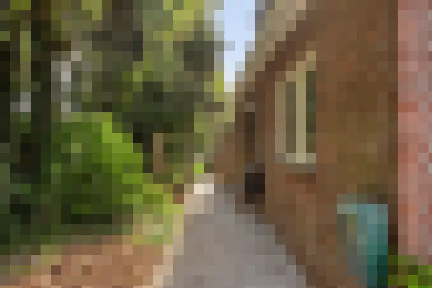 Noordeinde 1 Lambertschaag thumbnail 47
