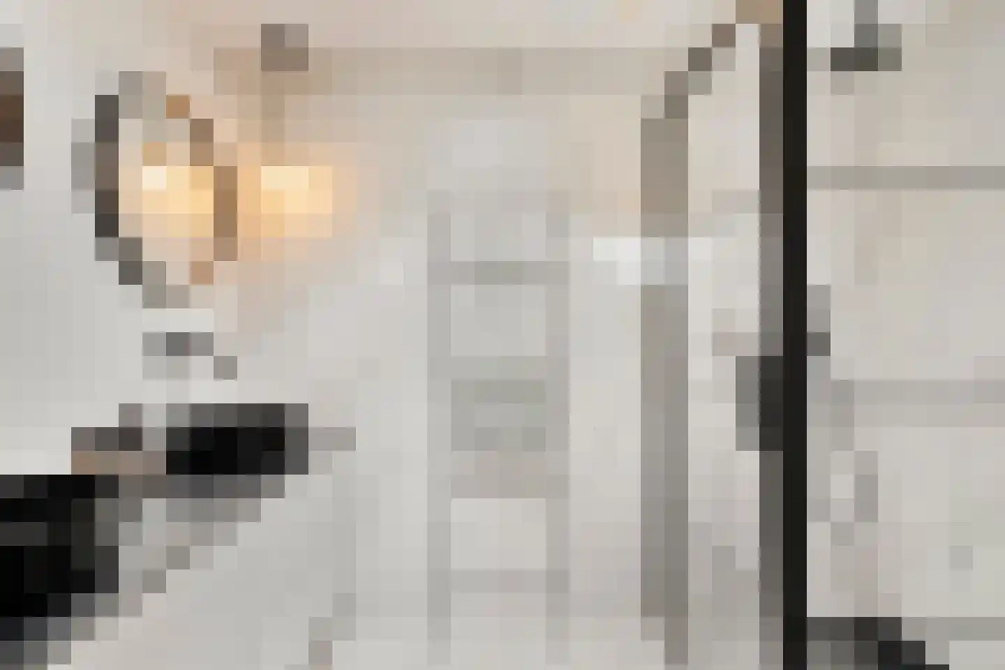 Noordeinde 1 Lambertschaag thumbnail 5