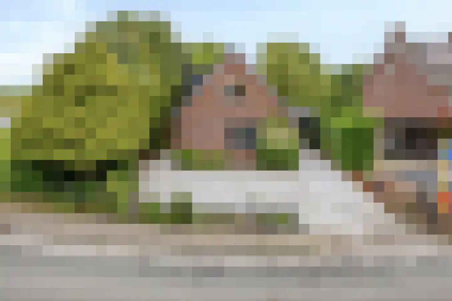 Noordeinde 1 Lambertschaag thumbnail 50