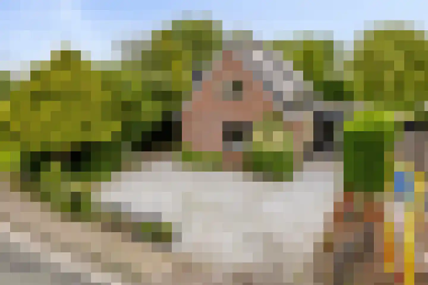 Noordeinde 1 Lambertschaag thumbnail 51