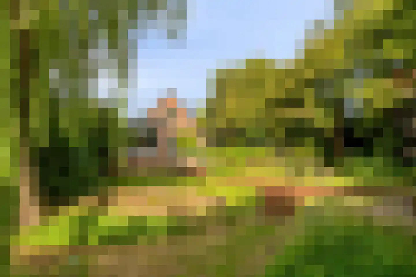 Noordeinde 1 Lambertschaag thumbnail 6