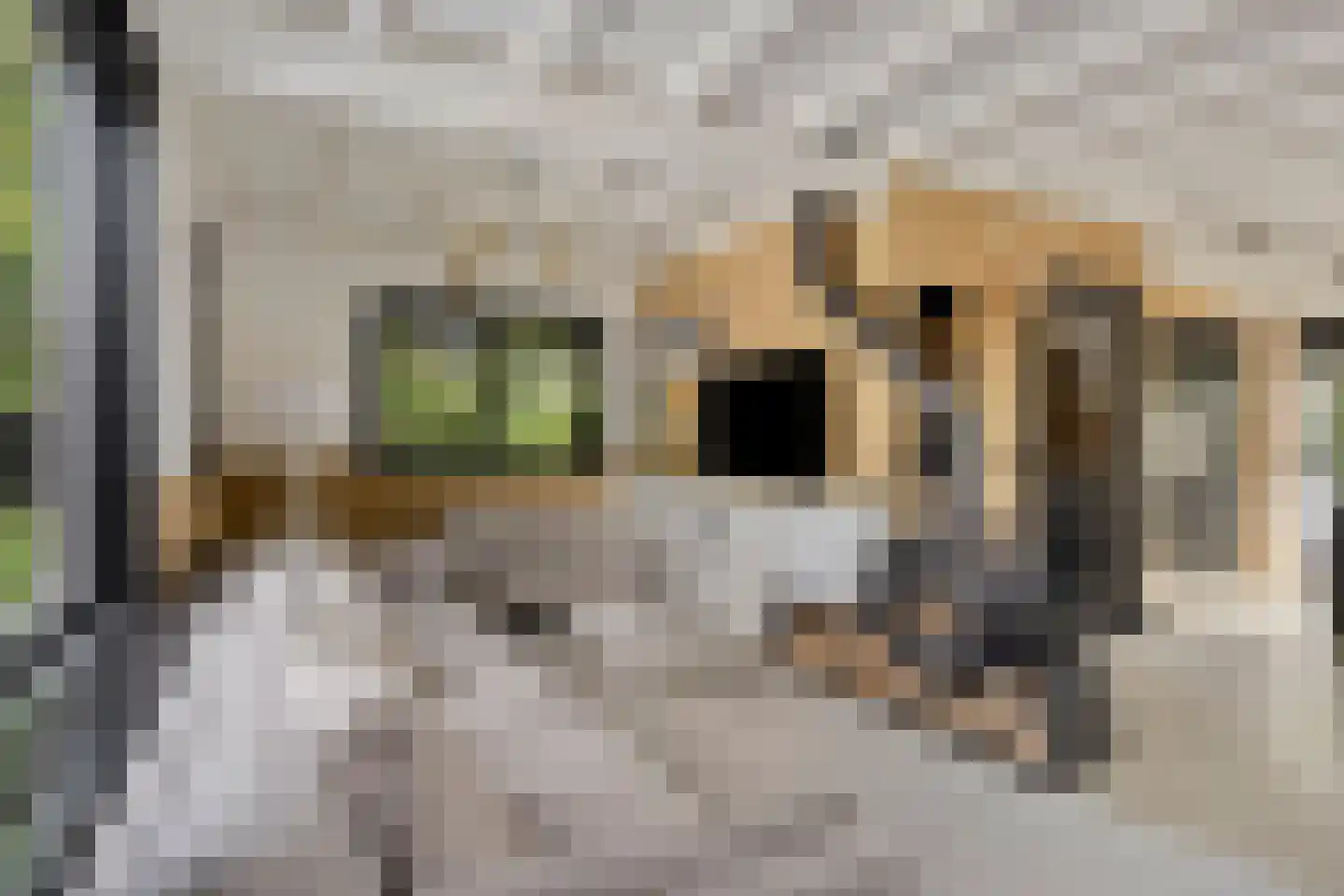 Noordeinde 1 Lambertschaag thumbnail 9