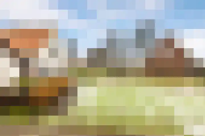 Noordeinde 105 Monnickendam thumbnail 22