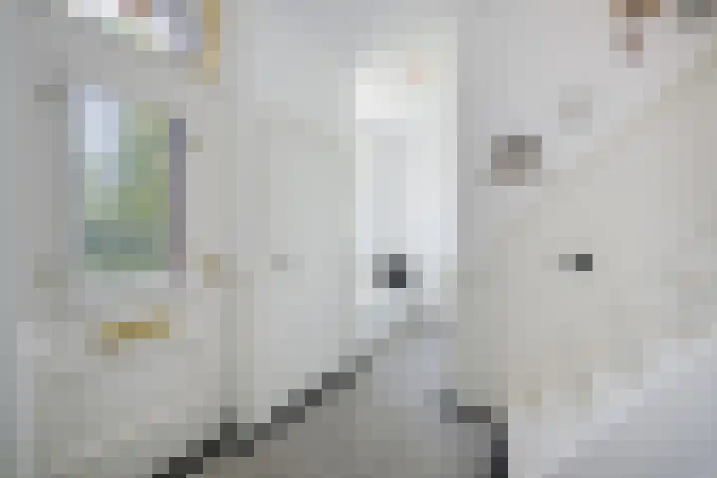 Noordeinde 106 Leimuiden thumbnail 12