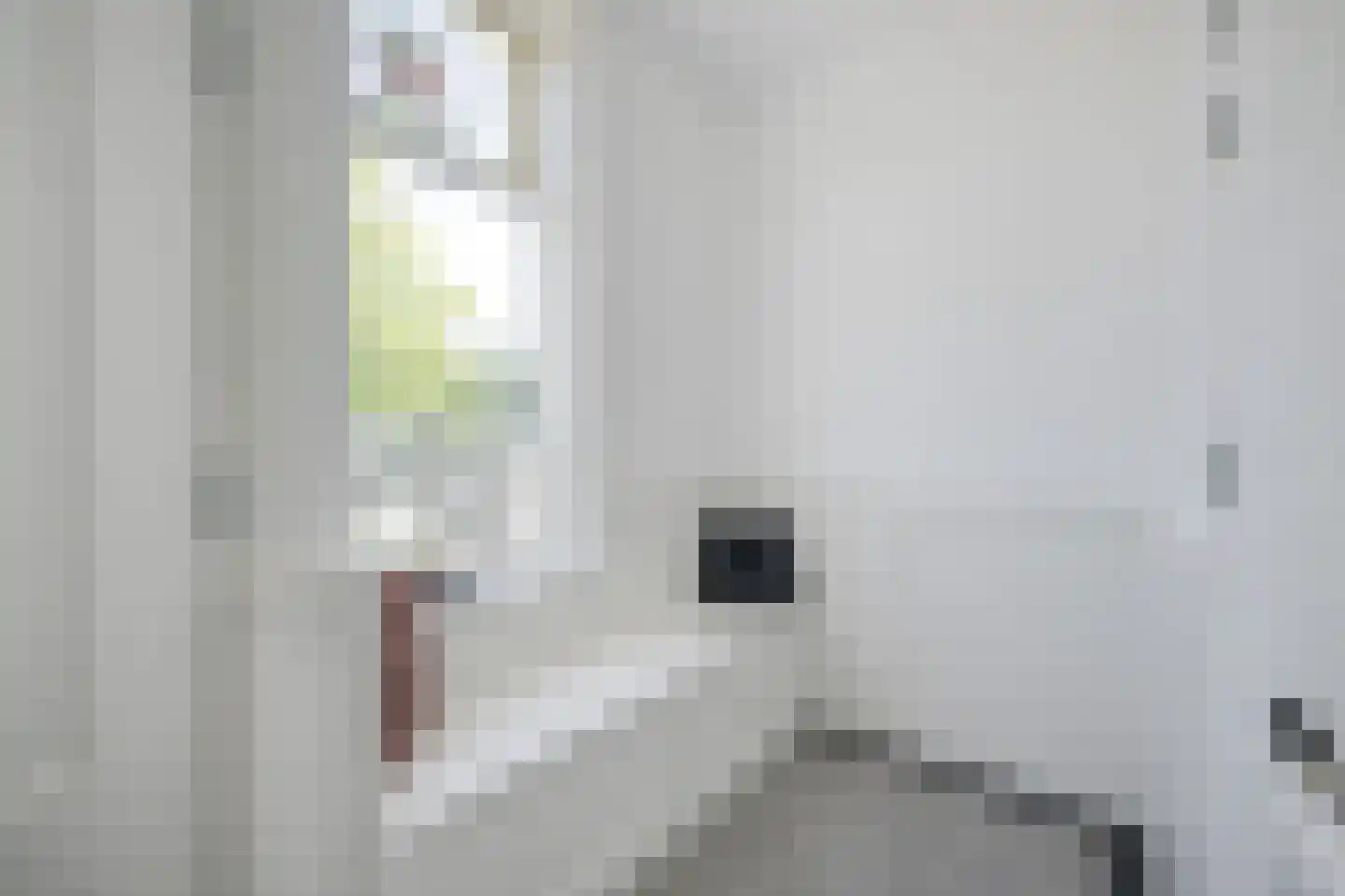 Noordeinde 106 Leimuiden thumbnail 13