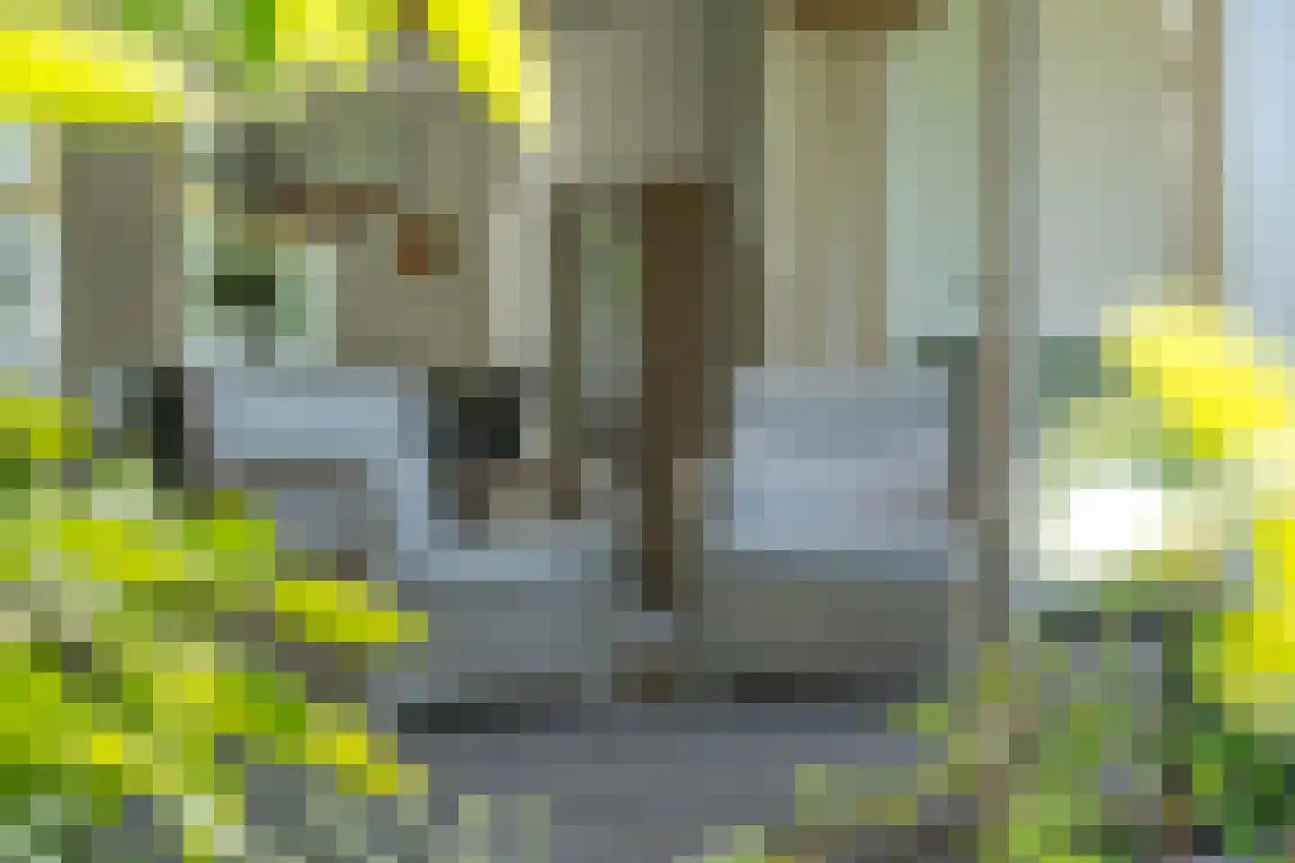 Noordeinde 106 Leimuiden thumbnail 49