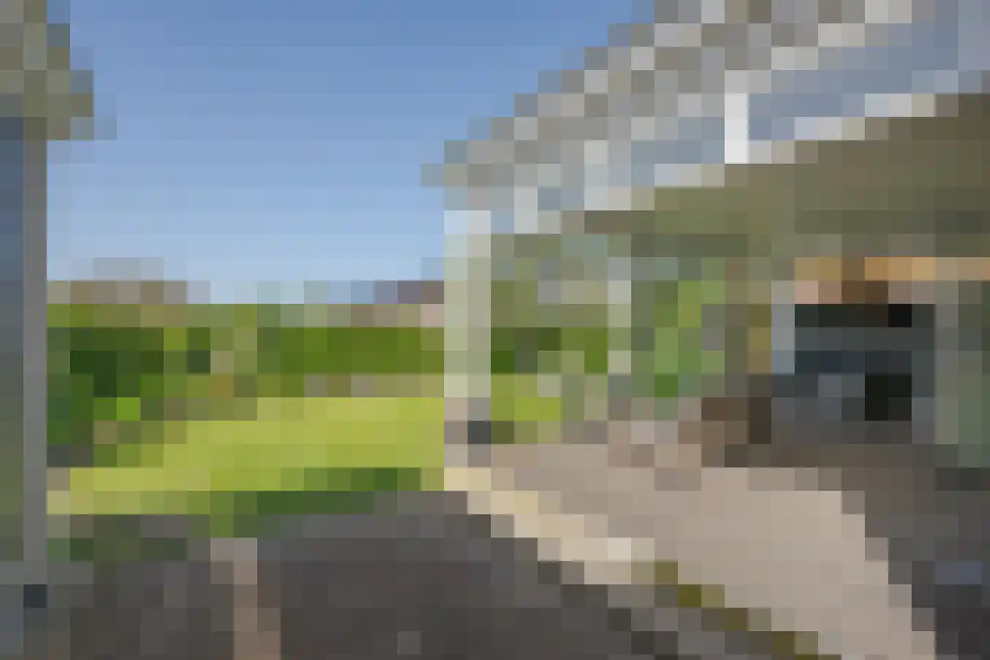 Noordeinde 106 Leimuiden thumbnail 53