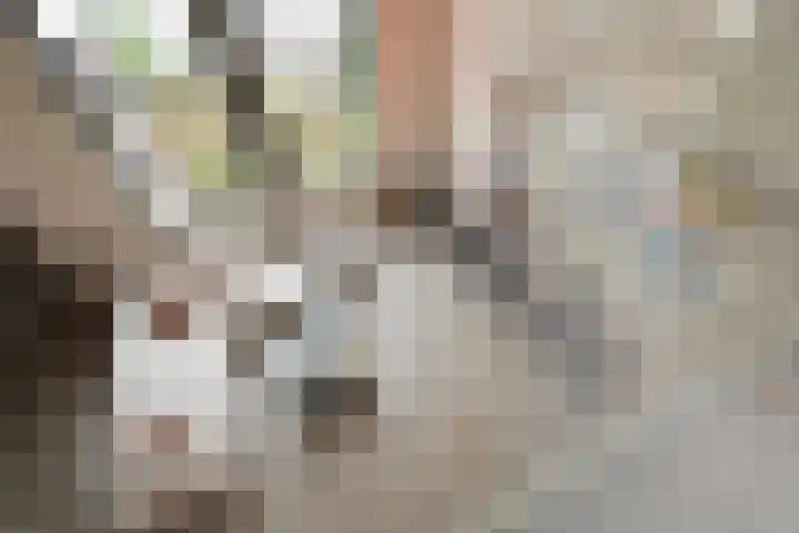 Noordeinde 109 D Den Haag thumbnail 33