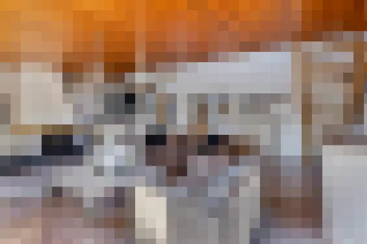 Noordeinde 11 Landsmeer thumbnail 15
