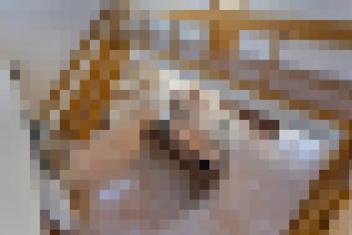 Noordeinde 11 Landsmeer thumbnail 23