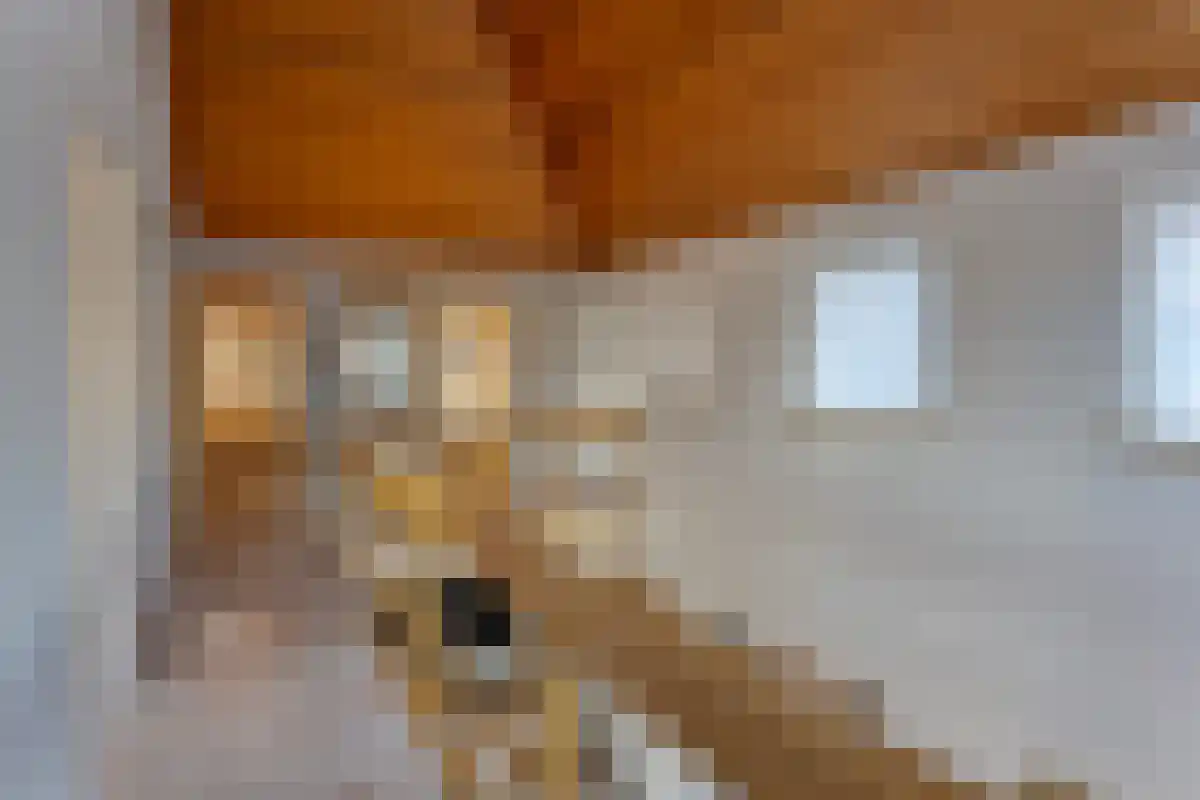 Noordeinde 11 Landsmeer thumbnail 24