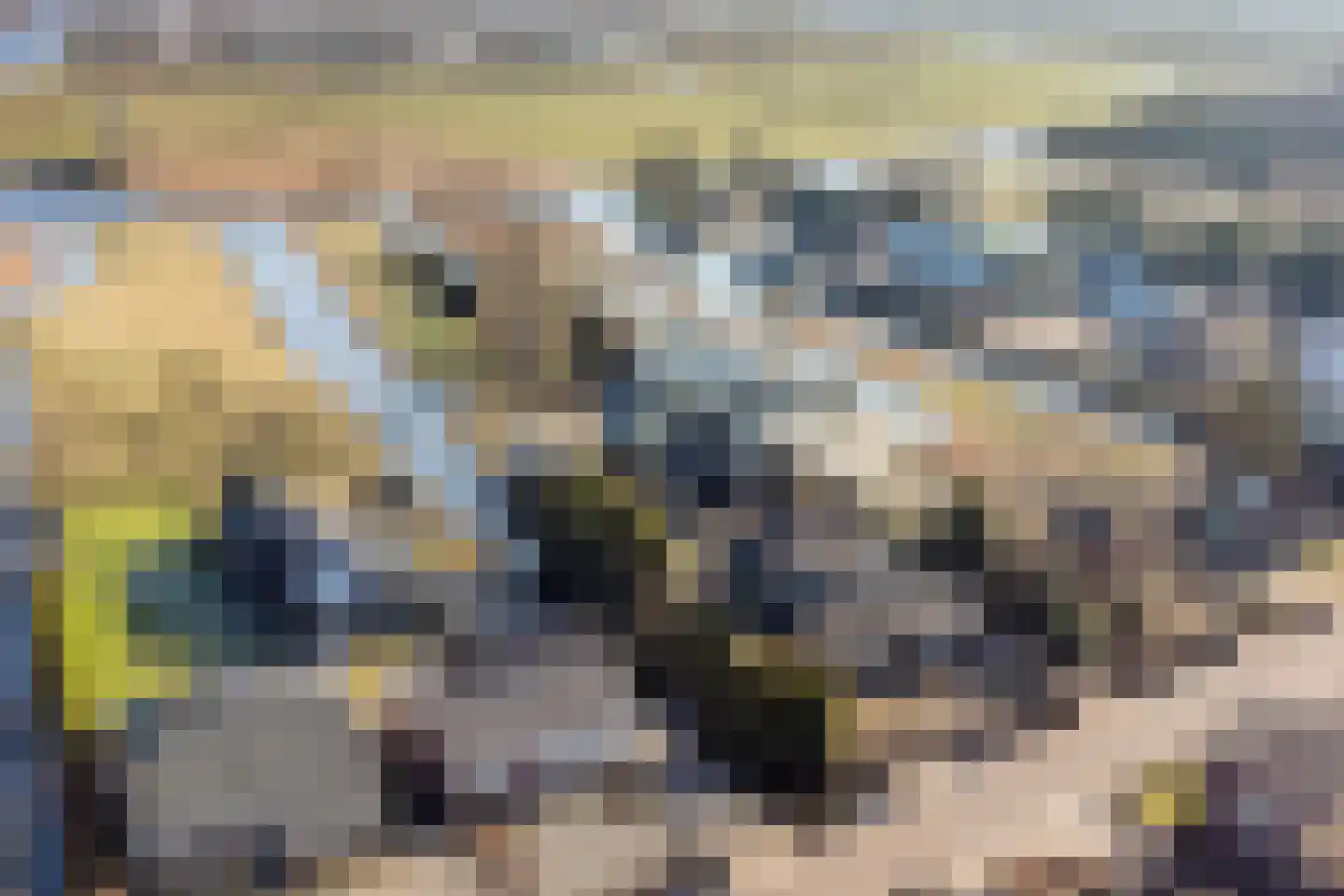 Noordeinde 11 Landsmeer thumbnail 48