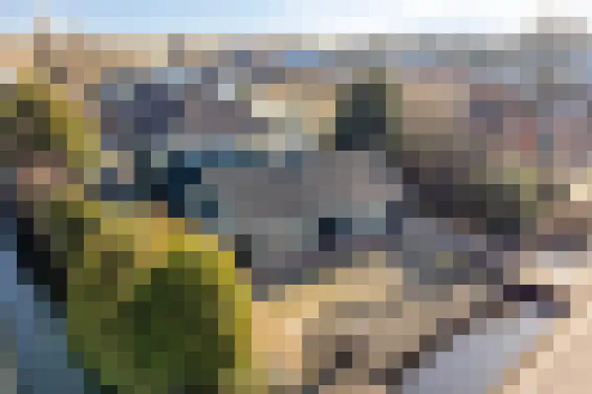 Noordeinde 11 Landsmeer thumbnail 53