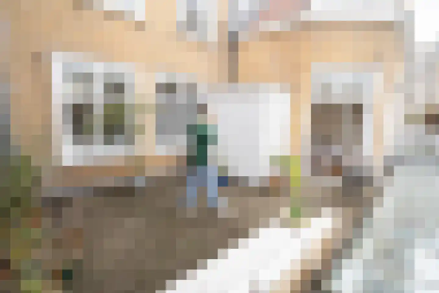 Noordeinde 113 Den Haag thumbnail 10