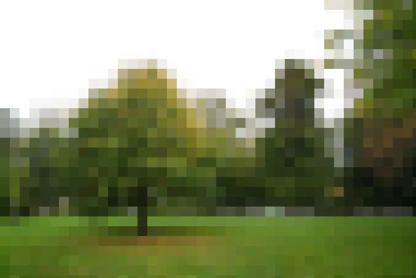 Noordeinde 113 Den Haag thumbnail 32