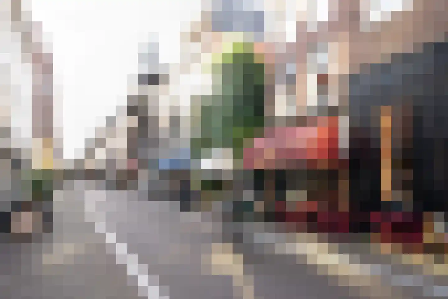 Noordeinde 113 Den Haag thumbnail 35