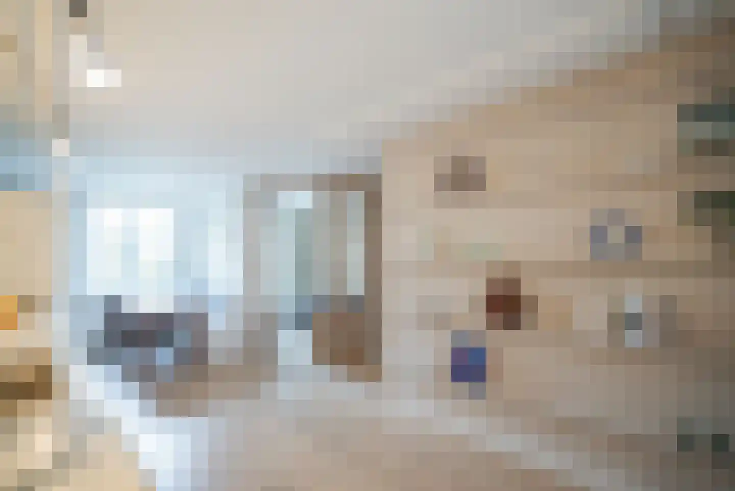 Noordeinde 113 Den Haag thumbnail 5