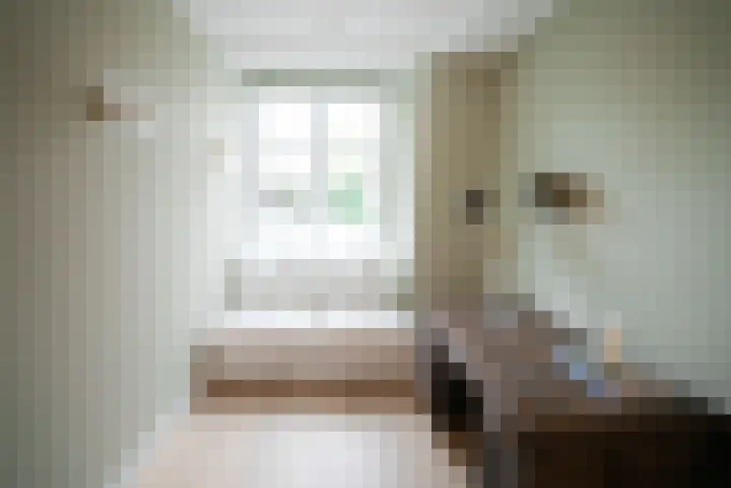 Noordeinde 113 Den Haag thumbnail 8