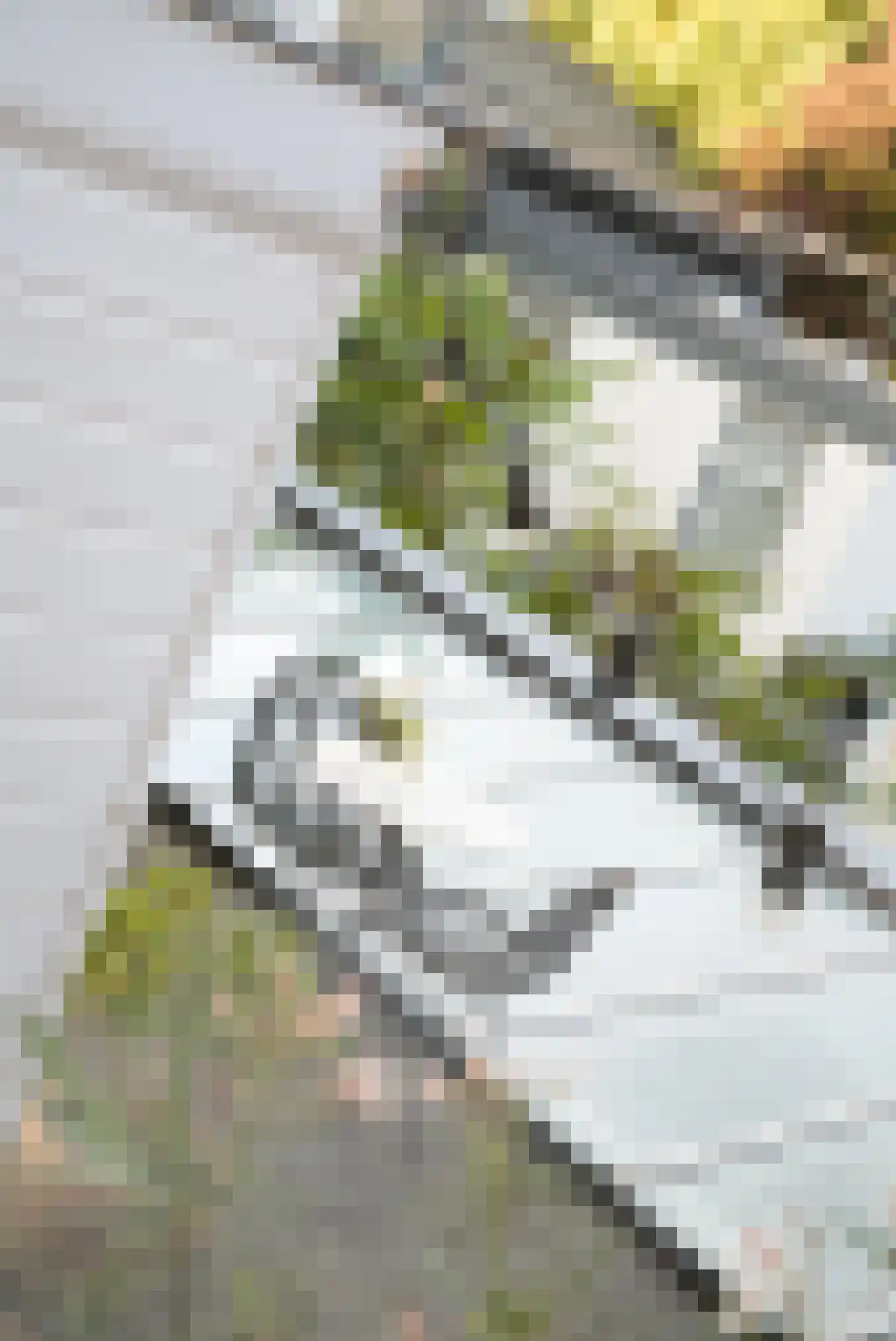 Noordeinde 113 Den Haag thumbnail 9