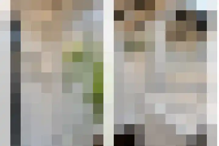 Noordeinde 114 Roelofarendsveen thumbnail 18