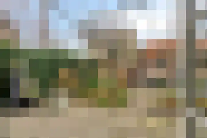Noordeinde 114 Roelofarendsveen thumbnail 19