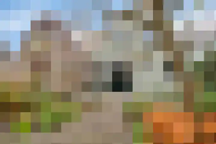 Noordeinde 114 Roelofarendsveen thumbnail 22