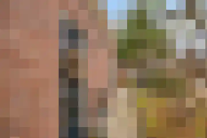 Noordeinde 114 Roelofarendsveen thumbnail 25