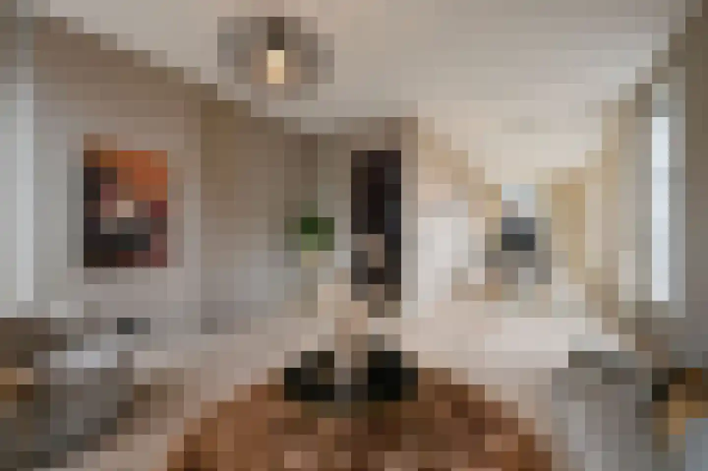 Noordeinde 119 A Den Haag thumbnail 10