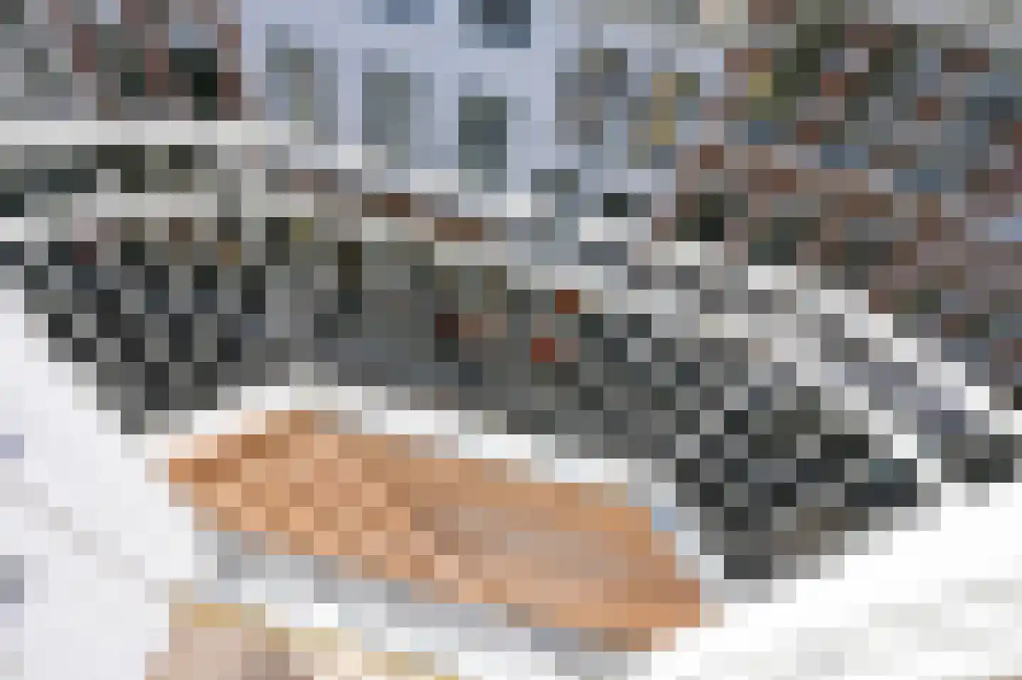 Noordeinde 119 A Den Haag thumbnail 13