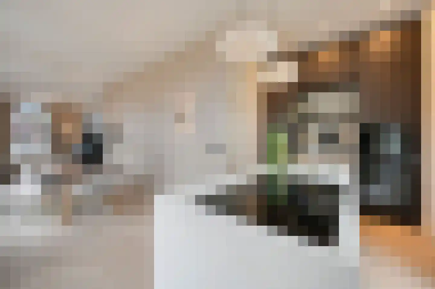 Noordeinde 119 A Den Haag foto 2