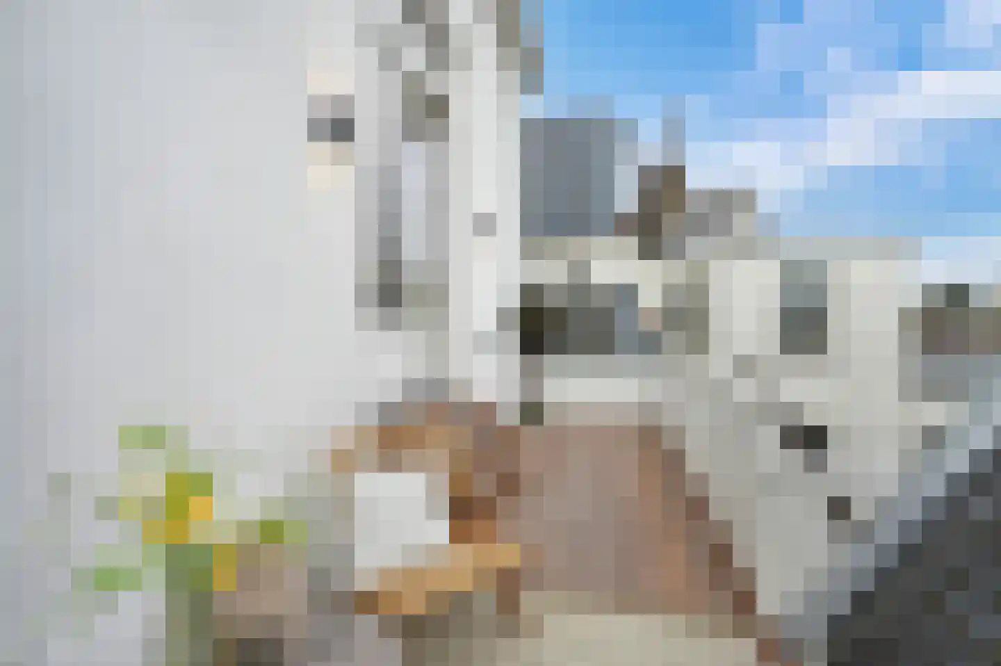 Noordeinde 119 A Den Haag thumbnail 20