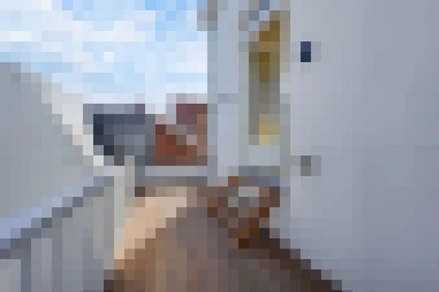 Noordeinde 119 A Den Haag thumbnail 22