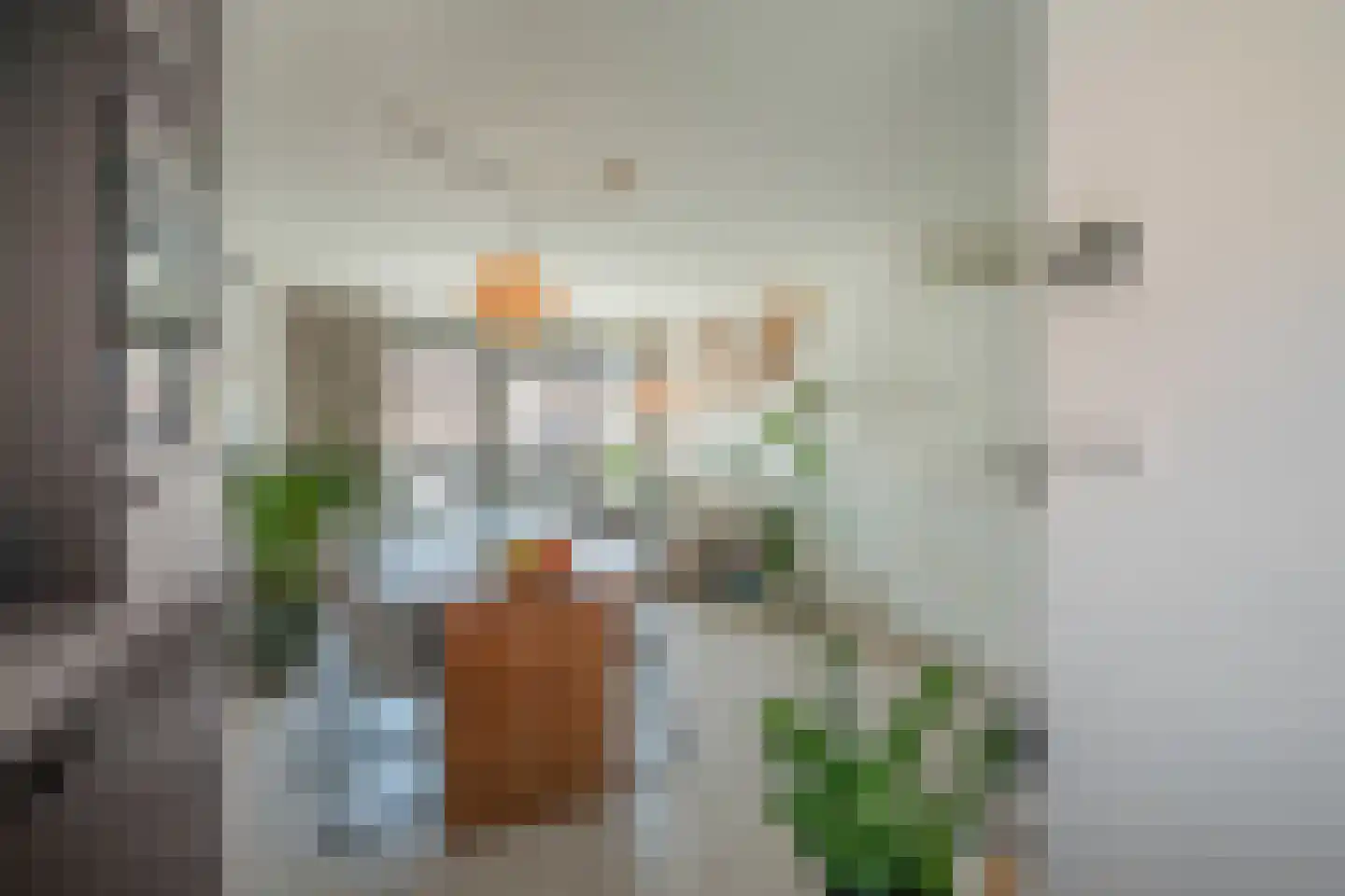 Noordeinde 120 Delft thumbnail 13