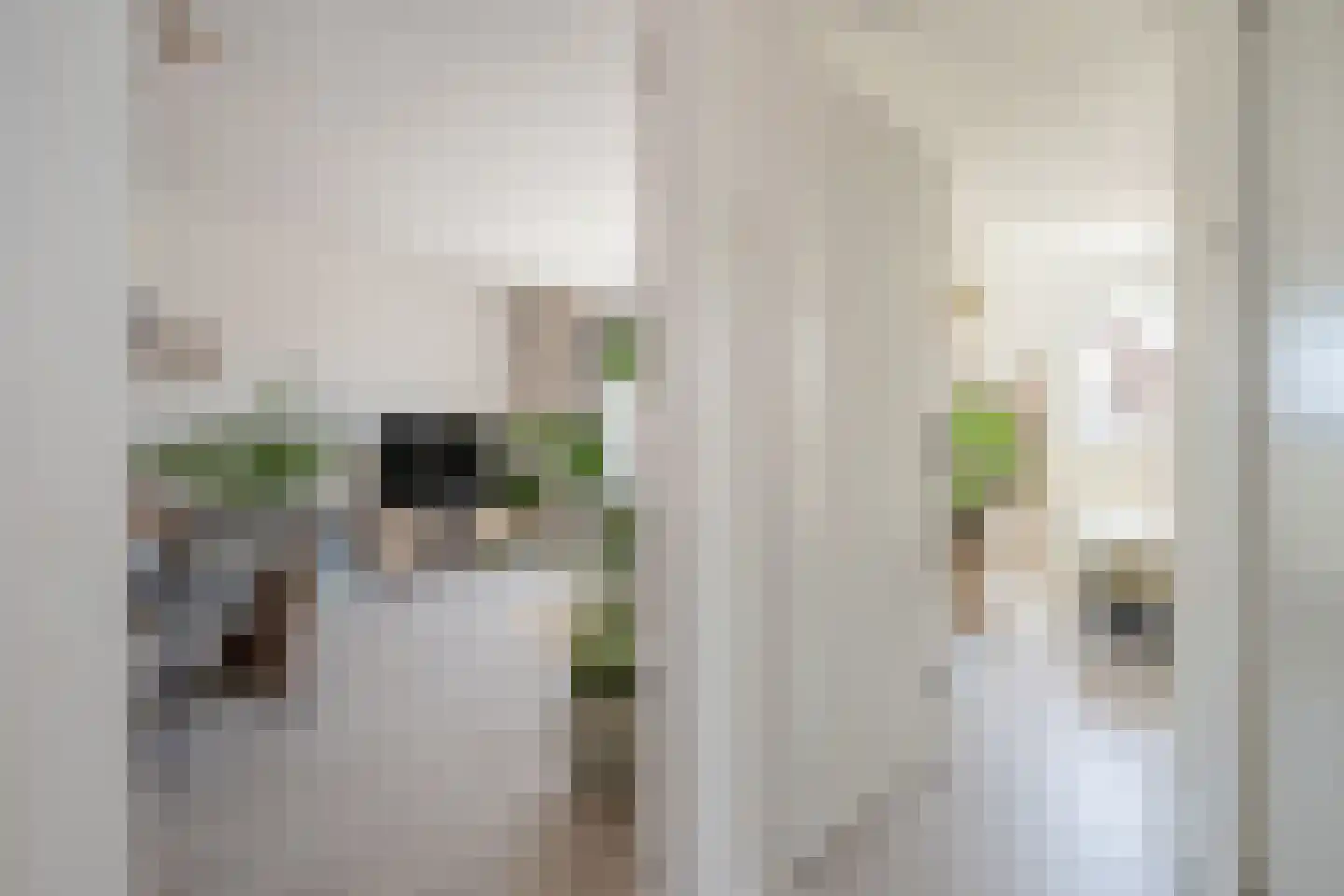 Noordeinde 120 Delft thumbnail 14