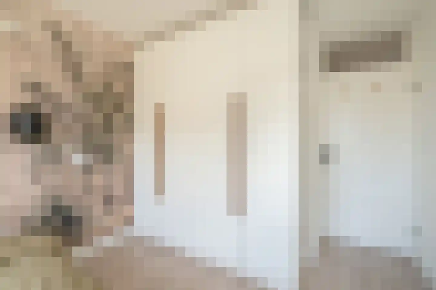 Noordeinde 120 Delft thumbnail 17