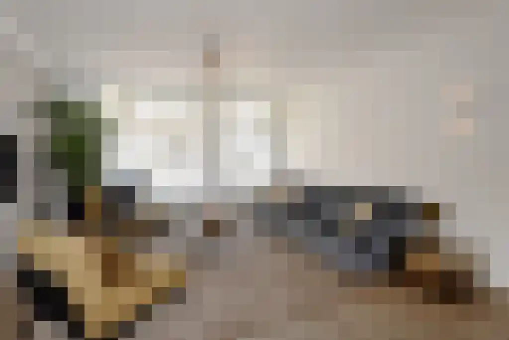 Noordeinde 124 G Den Haag thumbnail 5