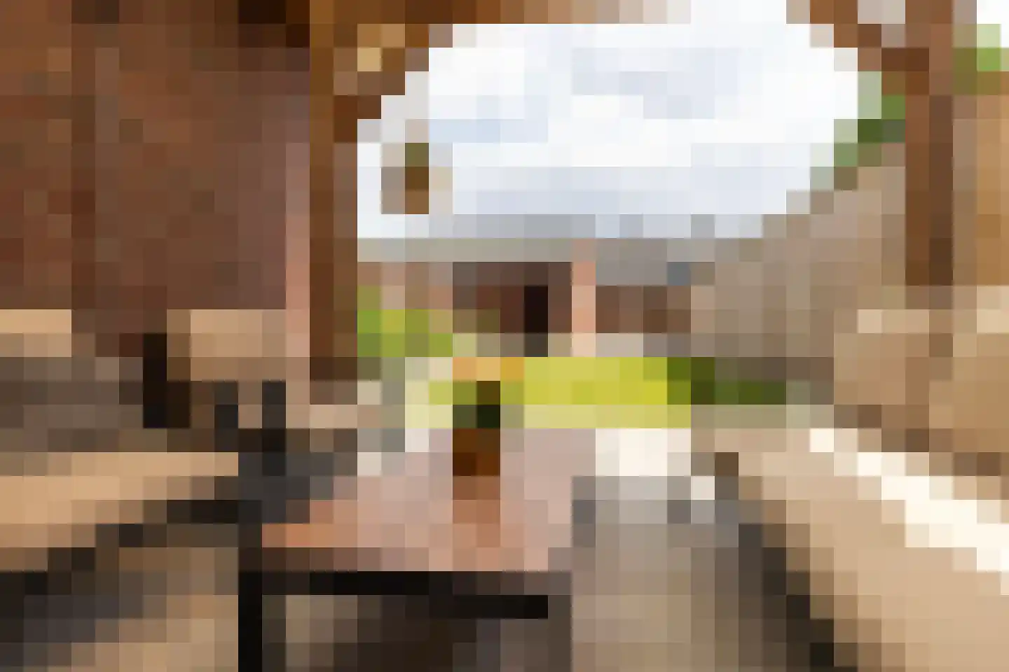Noordeinde 124 Zevenaar thumbnail 24