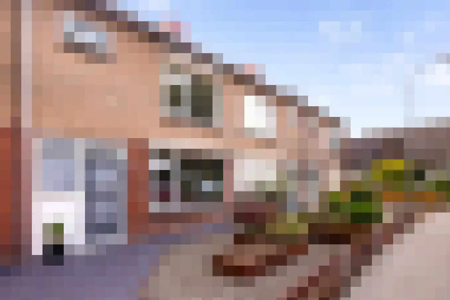Noordeinde 124 Zevenaar thumbnail 5