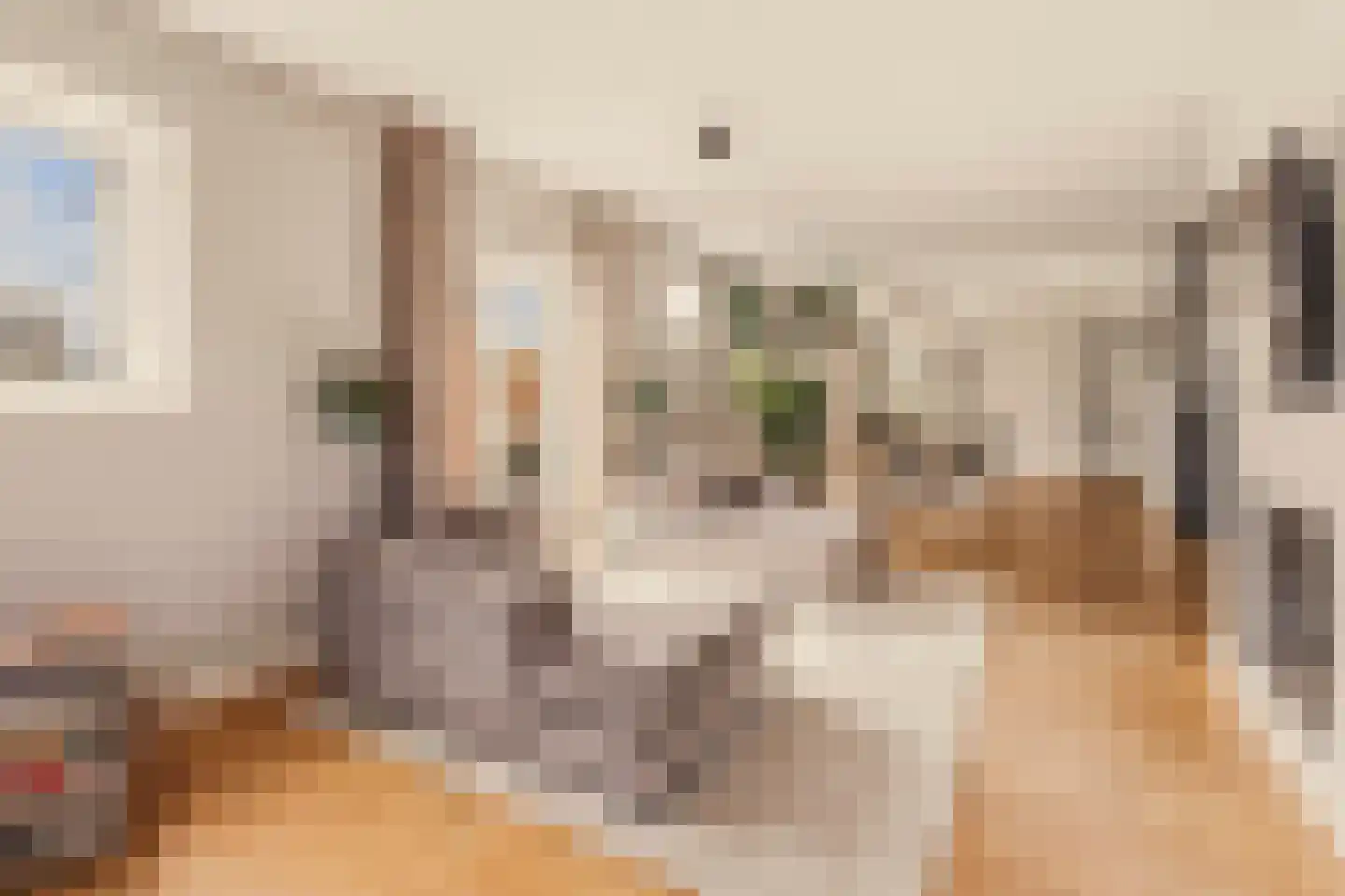 Noordeinde 125 Landsmeer thumbnail 15